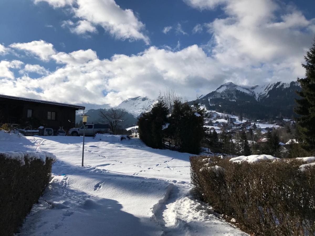 Vila L'Onyx - Domaine De Nant Cruy Sallanches Exteriér fotografie